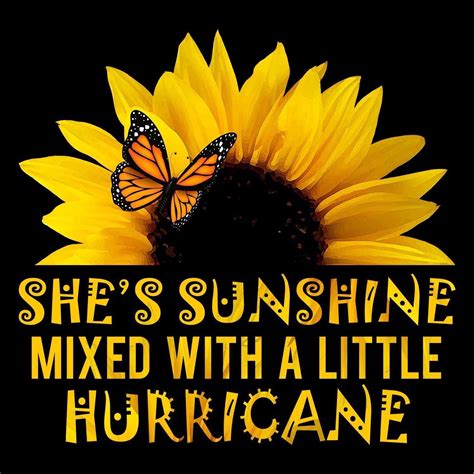 'couldn't help but make me feel ashamed to live in a land where justice is a game.', dave eggers: She's Sunshine Mixed with a Little Hurricane 🌻🌻 (With images) | Sunflower pictures, Sunflower ...