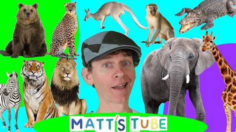 Wild Animals Matts Tube 1 Learning Wild And Zoo