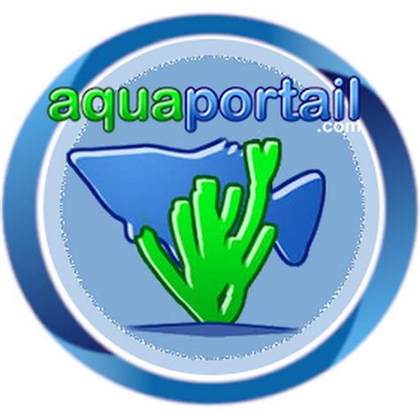 Aquaportail Youtube Hot Sex Picture
