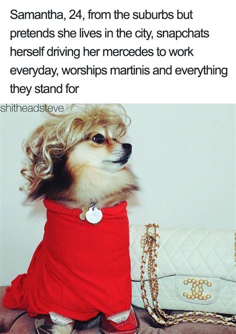 30 Hilarious Dog Personality Profiles That Are Like Many