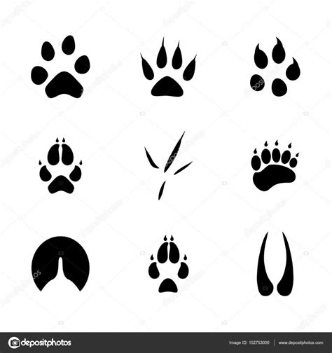 Animal Footprints Vector Stock Vector By ©viktorijareut 152753000