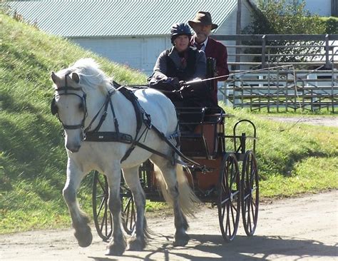 Carriages And Carts