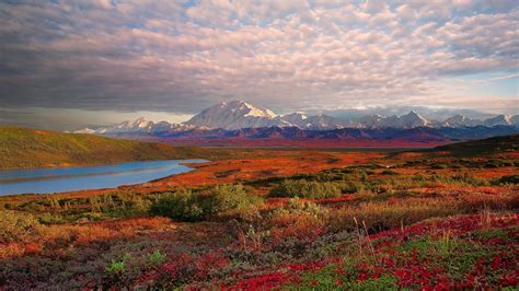 Landscape Denali National Park And Preserve Alaska Mountain In North