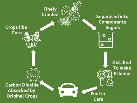 Bioethanol The Fuel Of Tomorrow