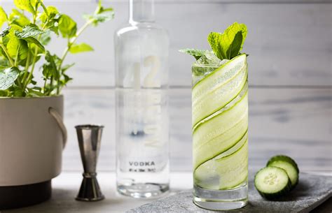 Cucumber Mint Vodka Cocktail