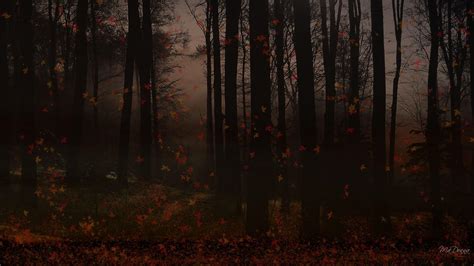 Autumn Dusk In The Forest Wallpaper Nature And Landscape Wallpaper