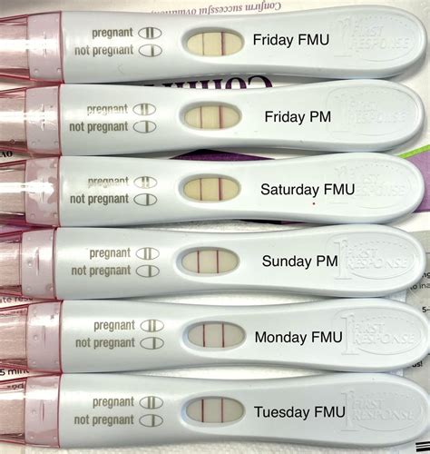 Frer Progression 13 17 Dpo Im Still In Shock After Two Years Of