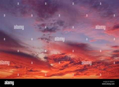 Amazing Form Hi Res Stock Photography And Images Alamy