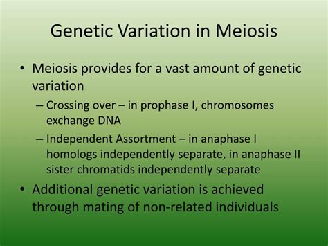 ppt meiosis powerpoint presentation free download id 6980522