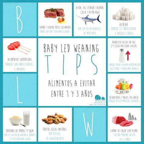 Las mejores imágenes de BLW Baby Led Weaning Alimentacion bebe Comida para bebés y