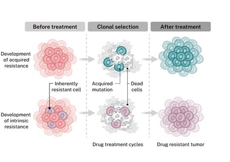 Cancer Drug Resistance Scandion Oncology