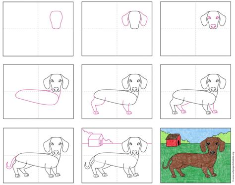 Easy How To Draw A Dachshund Dog Tutorial And Dachshund Dog Coloring