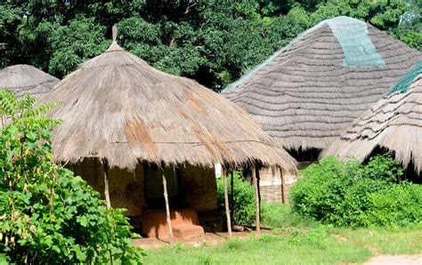 Guinea, officially the republic of guinea, is a coastal country in west africa. ギニア | 珈琲タイム