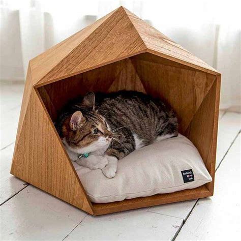 Modern Cat House Diy 60 Meowlogy