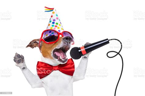 Happy Birthday Dog Singing Stock Photo Download Image