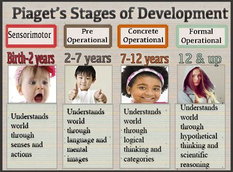 Babies Cognitive Abililities Jean Piagets Four Stages Of Development