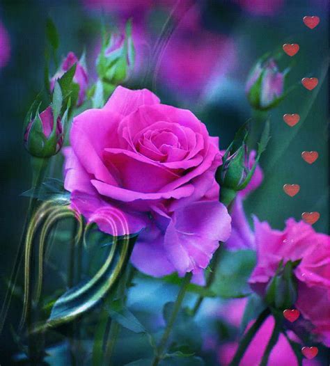 With tenor, maker of gif keyboard, add popular flowers animated gifs to your conversations. Gif_ROSES_ Animated Images_1_(20 item) | Joy Design Studio