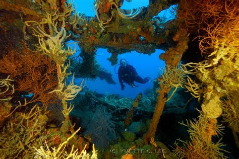 Coron Diving Packages Palawan Dive Sites Wreck Diving Dive Center