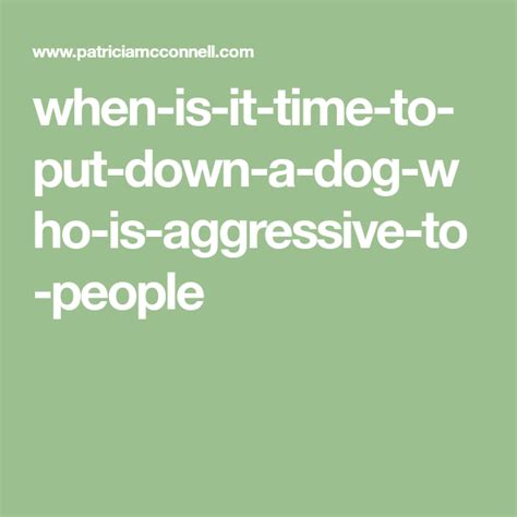 When Is It Time To Put Down A Dog Who Is Aggressive To People Dogs