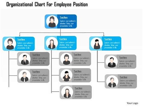 Organizationalchartforemployeepositionflatpowerpointdesign