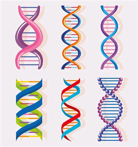 Seis Moléculas De Adn 2450018 Vector En Vecteezy