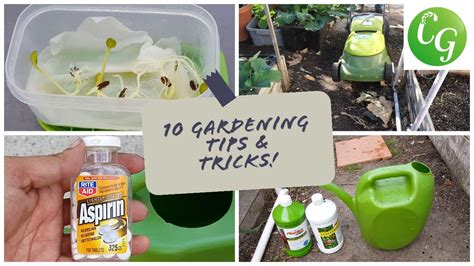10 Gardening Tips And Ideas Every Gardener Should Know Garden Tips