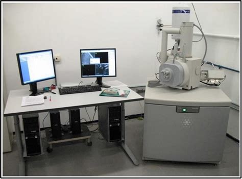 Microscópio Eletrônico De Varredura Imagens Ensino