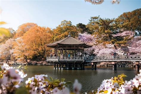 Vuélvete Experto En El País Del Sol Naciente Con Insider Guide To Japan