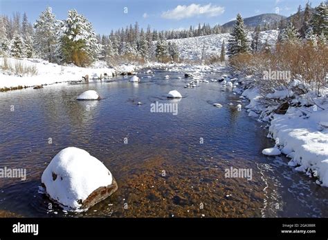 Laramie River With Snow Covered Rocks On A Winter Landscape Running