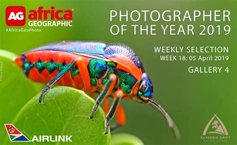 Photographer Of The Year 2019 Weekly Selection Week 18 Gallery 4