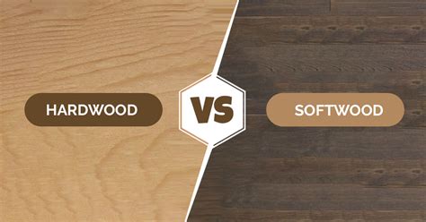 It has enough strength to become a chair or table. The (Differences, Uses, Examples) Between Hardwood And ...