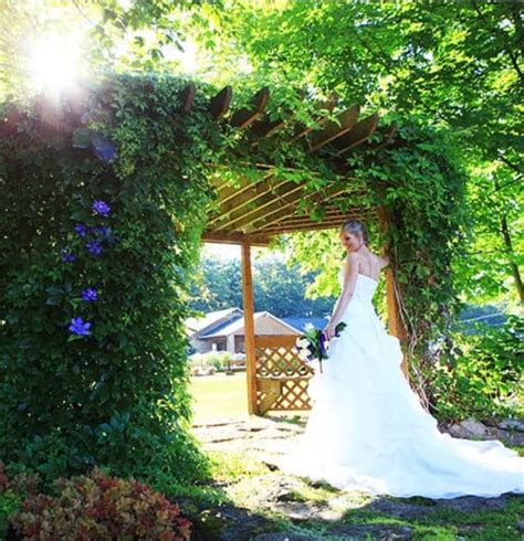 Pin By Céline Dionne On Mariage Rustique Wedding Dresses Wedding