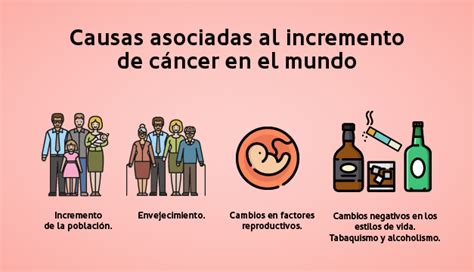 Infografias Causas Del Cancer Vs Web 02 02 Revista Vidasana