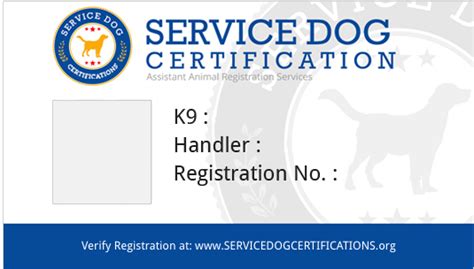Lifetime dog license application & permanent identification verification form. Registration Requirements: Service Dog | Service Dog ...