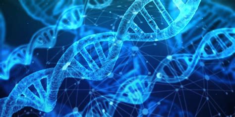 DNA Lengkap Pengertian Struktur Sifat Fungsi Gambar Dan Proses Terbentuknya MARKIJAR