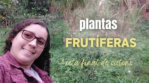 Tour nas frutíferas meu pomar no outono Como eles estar plantas