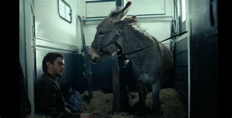 ‘eo Trailer Jerzy Skolimowskis Cannes Winner Is An Ode To Donkeys