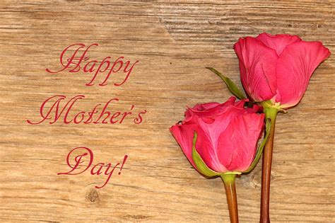 Happy Mothers Day Pink Roses Free Stock Photo Public Domain Pictures
