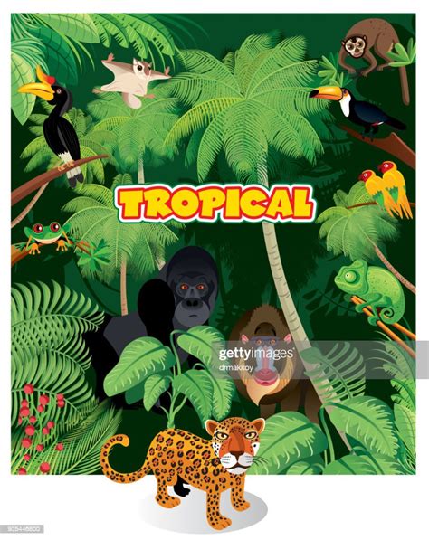 Tropical Rainforest And Animals High Res Vector Graphic Getty Images