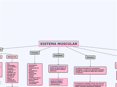 Sistema Muscular Concept Map
