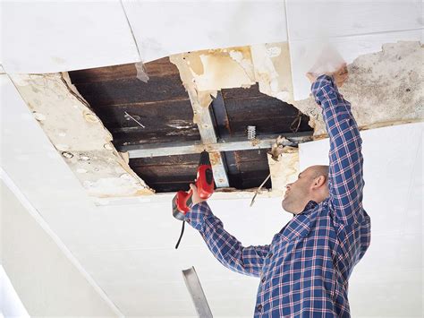 How To Remove Mold From Wood Drywall Tiles And Carpet Workshopedia