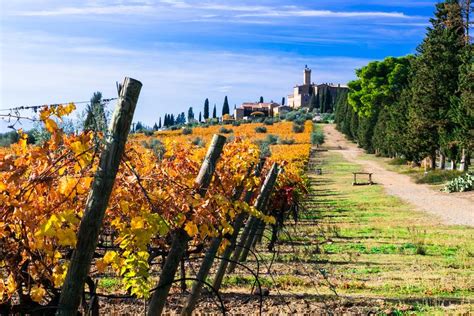 Vineyards And Castles Of Tuscany In Autumn Colors Castello Banfi Il