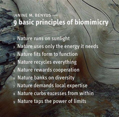 Biomimicry Nature Inspired Designs Can Make Our Low Carbon Future