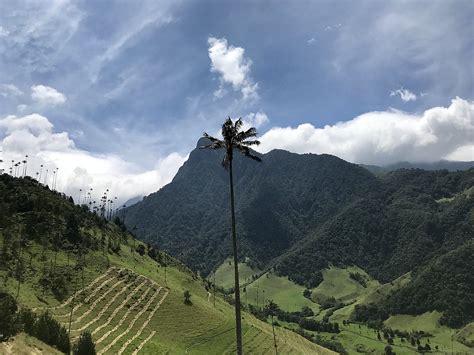 Cuenta oficial del deportes quindio s.a. Un hombre de 102 años hace parte de los 7 pacientes ...