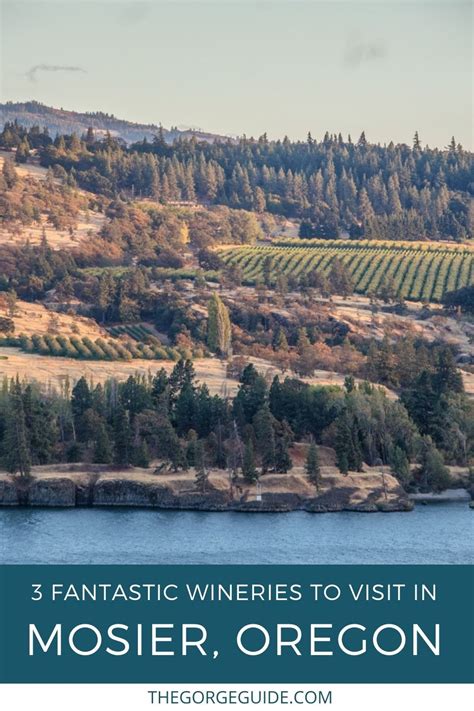 3 Fantastic Wineries In Mosier Oregon You Need To Visit Oregon