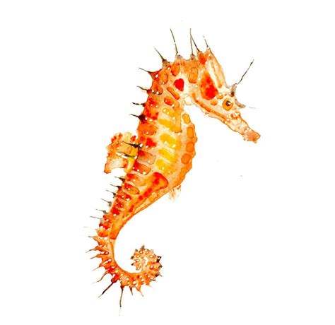 Would Be A Cool Tattoo Sea Horse Original Watercolor Painting Fine Art