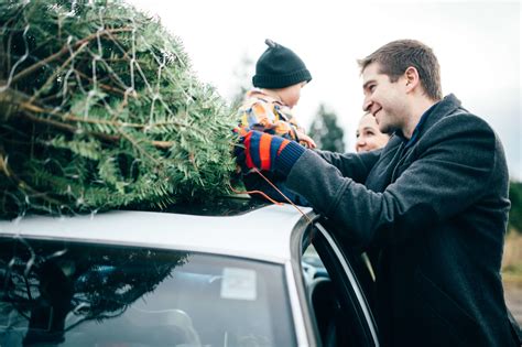 How to make perfect roast potatoes. How to Make a Christmas Tree Last All December Long ...