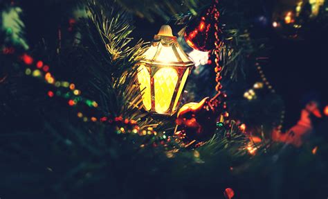 Free Images Christmas Lights Christmas Decorations Tree Festive