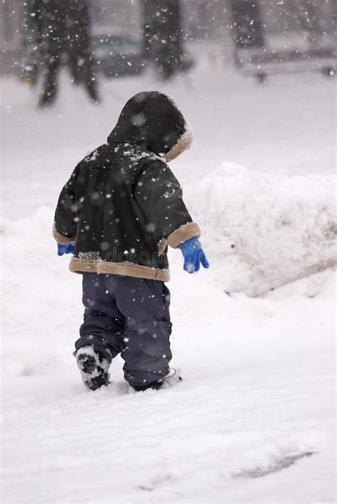 Toddler In Snow Stock Photo Image Of Childhood Cute 3908838