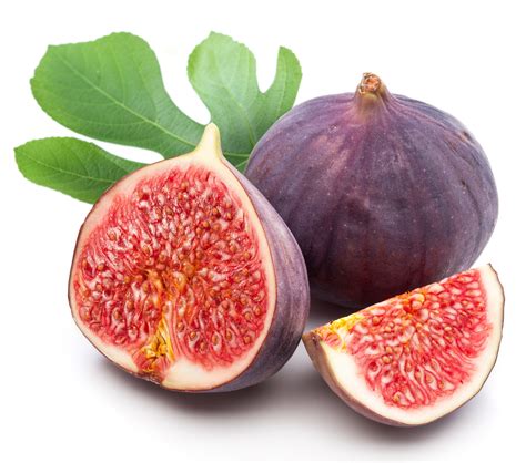 The Meaning And Symbolism Of The Word Fig
